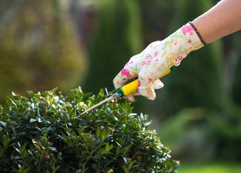 Accessibility-focused landscaping webpage shown on a screen