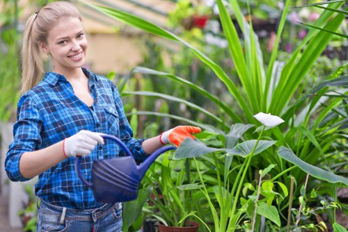 Low-maintenance garden renovation ideas for Heston homes