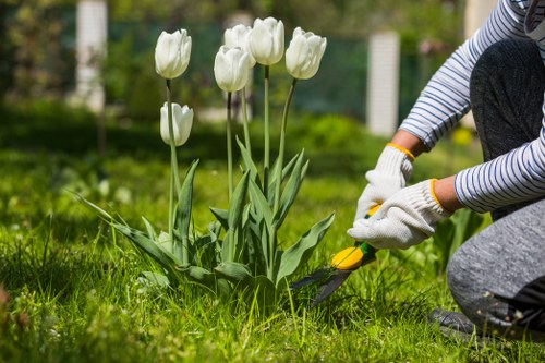 Customer raising a landscaping complaint through a structured process