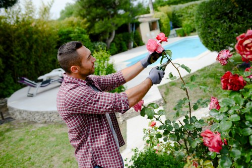 Supervisor reviewing health and safety standards for landscaping operations