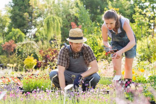 Gardener shaping a hedge with professional tools in Heston