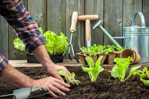 Inclusive landscaping page with clear navigation and contrast