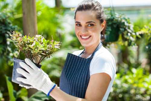Professional lawn care service improving a garden lawn in Heston
