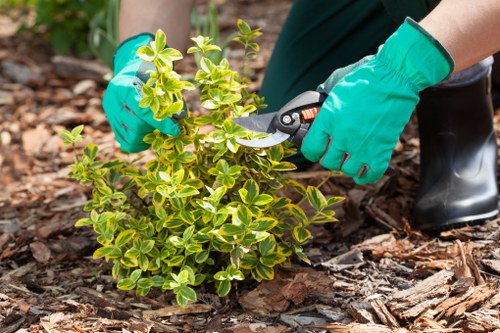 Layered planting design for landscaping in Heston