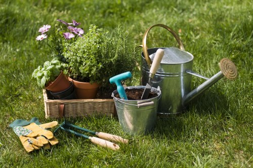 Healthy lawn care and edging in a Heston garden during seasonal upkeep