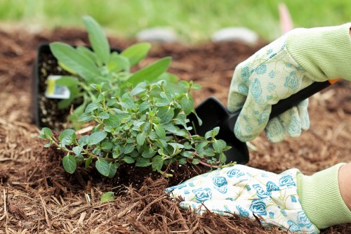 Manager assessing a landscaping issue against agreed work