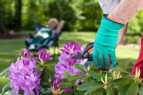 Low-carbon vans used for sustainable landscaping waste collection