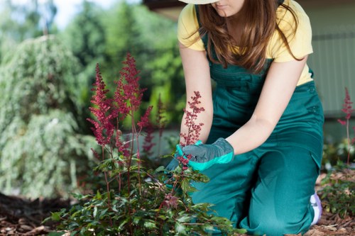 A sustainable Heston garden with layered planting and low-maintenance features