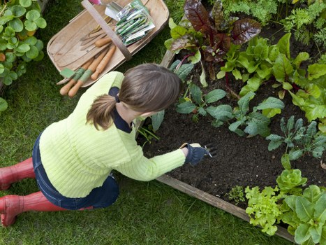 Grass cutting and edging for a tidy lawn in Heston