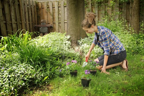 Clean flower beds and weed-free borders as part of garden maintenance in Heston