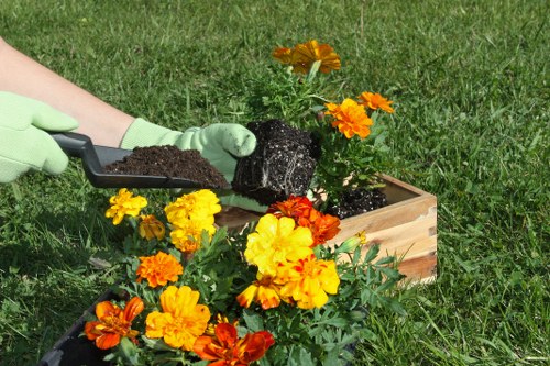 Rubbish removal and garden waste handling with careful loading procedures