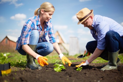 Professional landscaping and garden maintenance for homes in Heston